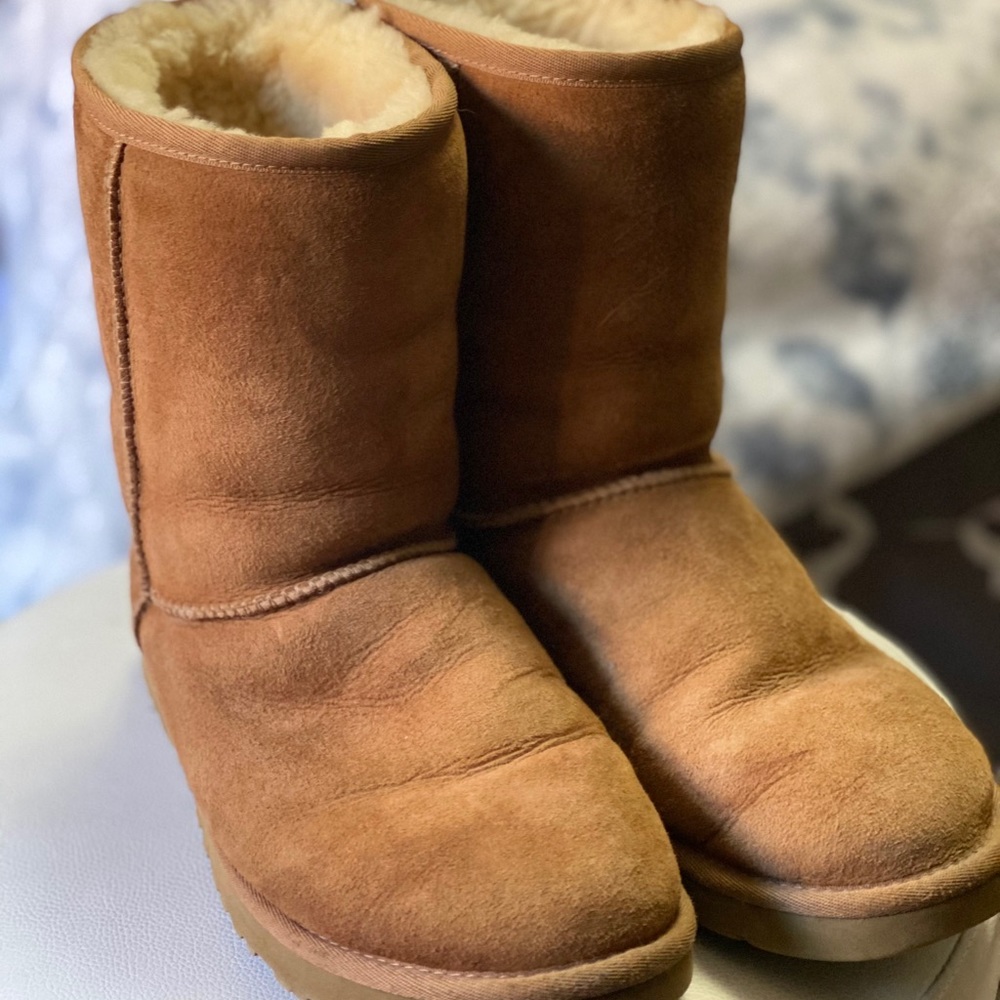 Chestnut Ugg Boots